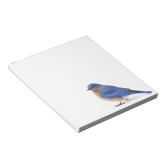 Bloc-note Bluebird (Incliné)