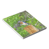 Bloc-note Bluebird sur un poteau de clôture (Incliné)