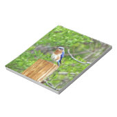 Bloc-note Bluebird sur un poteau de clôture (Tourné)
