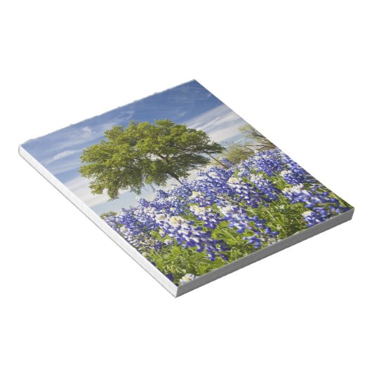 Bloc-note Bluebonnets du Texas (lupinus texensis) et chêne (Incliné)