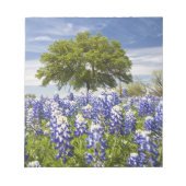Bloc-note Bluebonnets du Texas (lupinus texensis) et chêne (Devant)