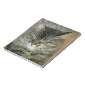 Bloc-note Bob (Tourné)