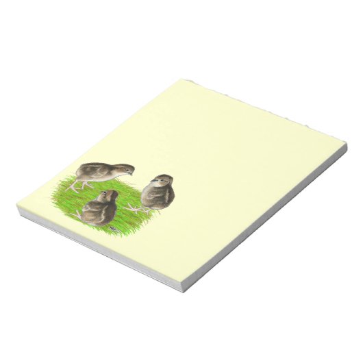 Bloc-note Bobwhite Quail (Tourné)