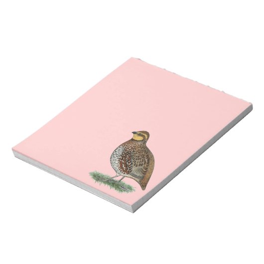 Bloc-note Bobwhite Quail Hen (Tourné)