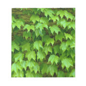 Bloc-note Boston Ivy (Devant)