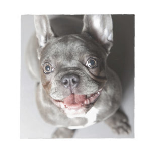 Bloc-note Bouledogue français