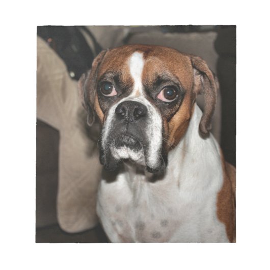 Bloc-note Boxer (Devant)