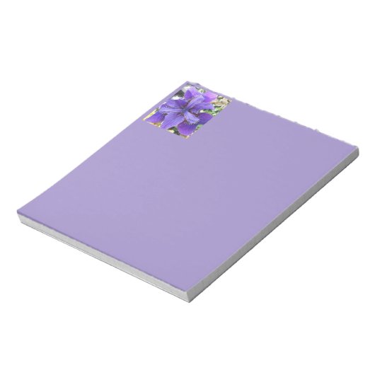 Bloc-note Brandeis (Tourné)