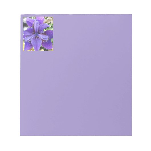 Bloc-note Brandeis (Devant)