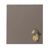 Bloc-note Brille (Devant)