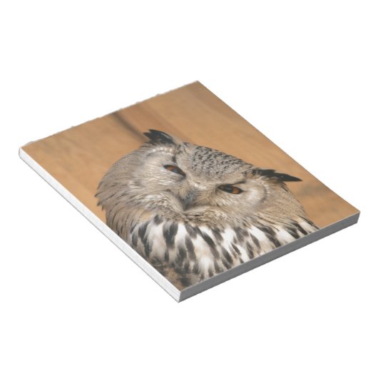 Bloc-note Bubo bubo sibiricus (Incliné)