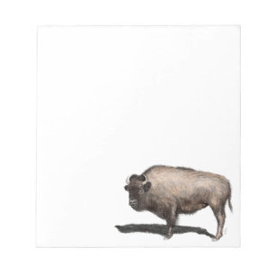 Bloc-note Buffalo, Bubalus