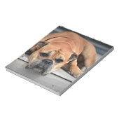 Bloc-note Bull Dog (Tourné)