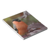 Bloc-note Bull Finch (Incliné)