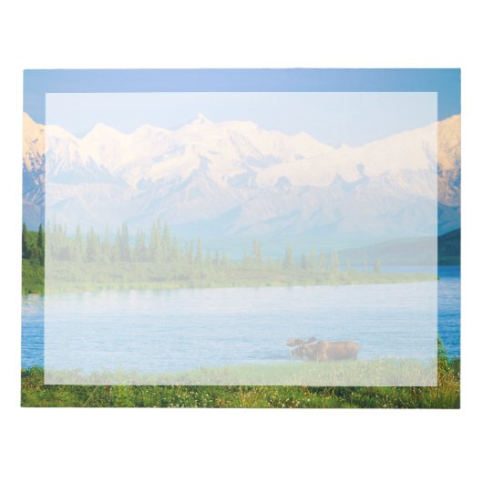 Bloc-note Bull moose in Wonder Lake (Devant)