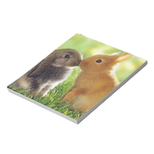 Bloc-note Bunny Kiss (Tourné)