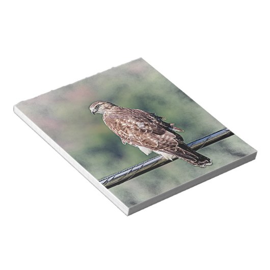 Bloc-note Buse à queue rouge immature (Incliné)