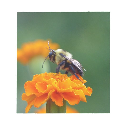 Bloc-note Busy Bee (Devant)