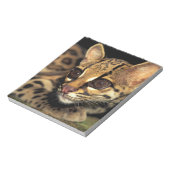 Bloc-note CA, Panama central, Parc national Soberania, Marga (Tourné)