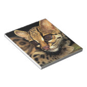 Bloc-note CA, Panama central, Soberania NP, Margay 2 (Incliné)