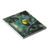 Bloc-note CA, Panama, Parc national de Souveraineté, Toucan (Incliné)