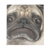 Bloc-note Cadeaux Grumpy Puggy (Devant)