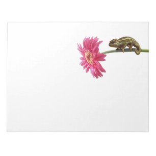 Bloc-note Caméléon vert sur fleur rose