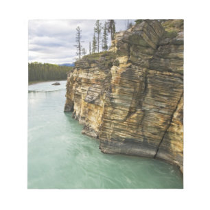 Bloc-note Canada, Alberta, parc national de Jasper, Athabasc