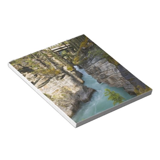Bloc-note Canada, Alberta, Parc national Jasper, Athabasca 2 (Incliné)
