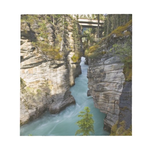 Bloc-note Canada, Alberta, Parc national Jasper, Athabasca 2 (Devant)