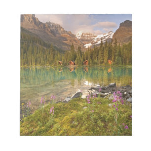 Bloc-note Canada, Colombie-Britannique, parc national de Yoh