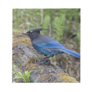 Bloc-note Canada : Colombie-Britannique, parc national Yoho,