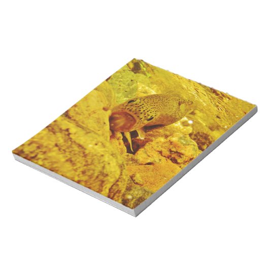 Bloc-note Canal en flux (Tourné)