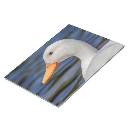 Bloc-note Canard blanc (Incliné)