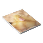 Bloc-note Canard Jaune Fuzzy Bébé de Pâques Canard (Incliné)