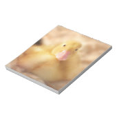 Bloc-note Canard Jaune Fuzzy Bébé de Pâques Canard (Tourné)
