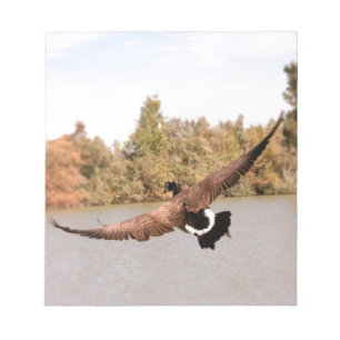 Bloc-note canard volant au-dessus de l'eau photo