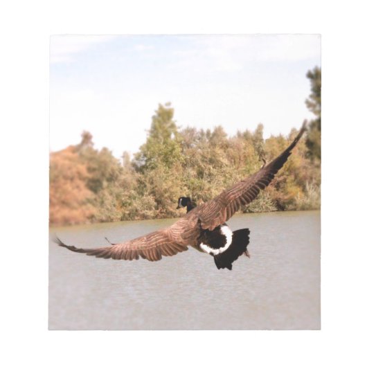 Bloc-note canard volant au-dessus de l'eau photographie (Devant)