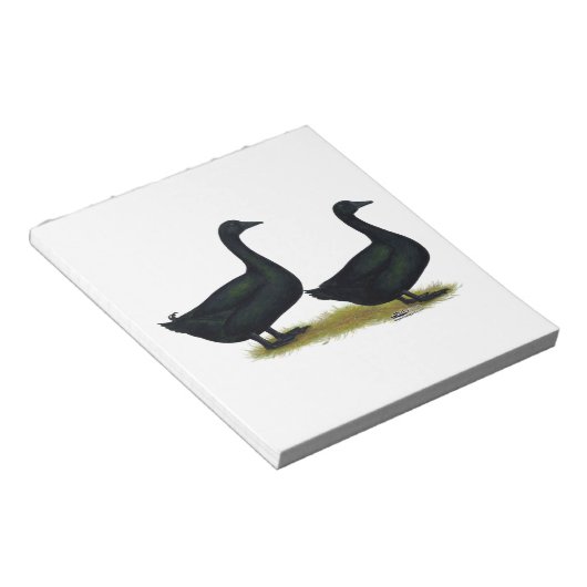 Bloc-note Canards : Cayugas noirs (Incliné)