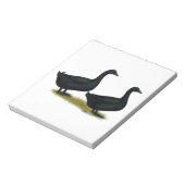 Bloc-note Canards : Cayugas noirs (Tourné)