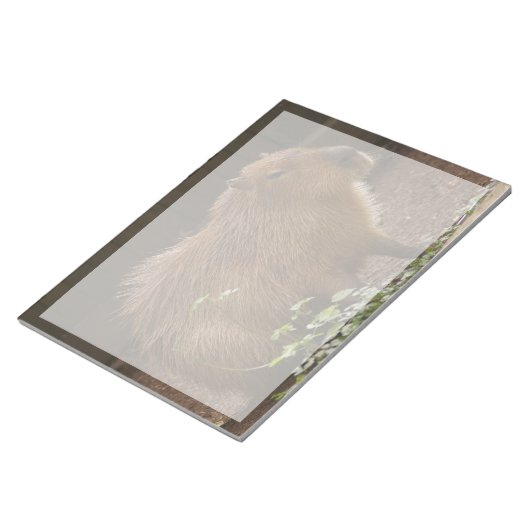 Bloc-note Capybara (Incliné)