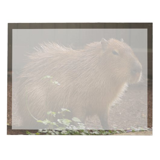 Bloc-note Capybara (Devant)