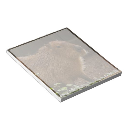 Bloc-note Capybara (Incliné)