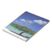 Bloc-note Caraïbes, Aruba. Eagle Beach (Tourné)