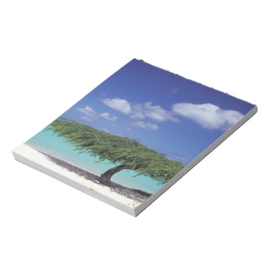 Bloc-note Caraïbes, Aruba. Eagle Beach (Tourné)