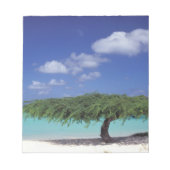 Bloc-note Caraïbes, Aruba. Eagle Beach (Devant)