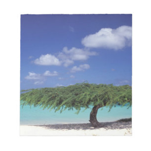 Bloc-note Caraïbes, Aruba. Plage Eagle