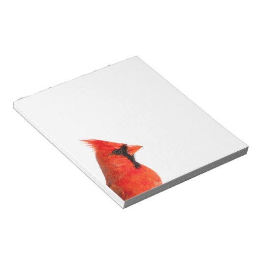Bloc-note Cardinal Bird (Incliné)