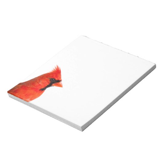 Bloc-note Cardinal Bird (Tourné)