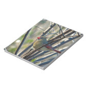 Bloc-note Cardinal féminin (Tourné)